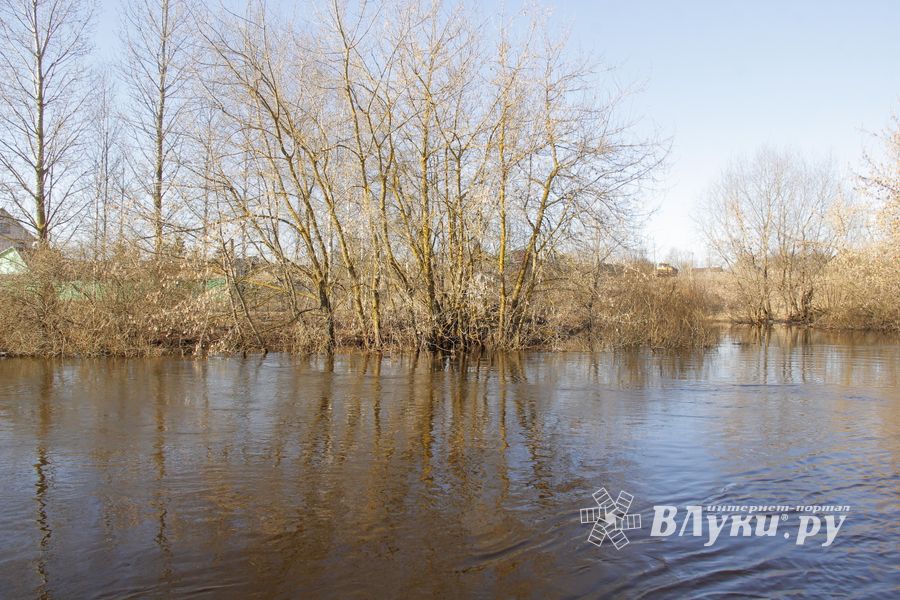 В Великих Луках продолжаются поиски мужчины, пропавшего 9 марта (ФОТО)