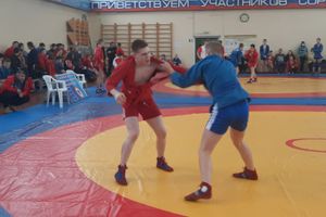 Великолучане привезли золотые медали с  регионального турнира по самбо (ФОТО)