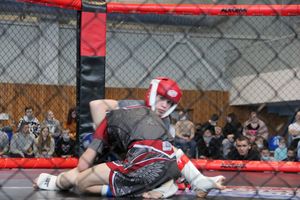 В Великих Луках прошел кубок по смешанному боевому единоборству (ФОТО)