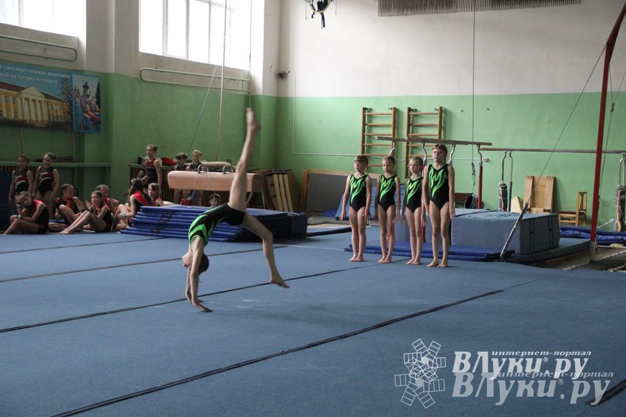 В Великих Луках состоялось Первенство по командной гимнастике (фото)