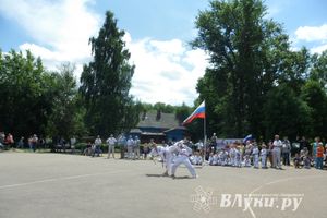 В Великих Луках прошел Всероссийский олимпийский день (фото)