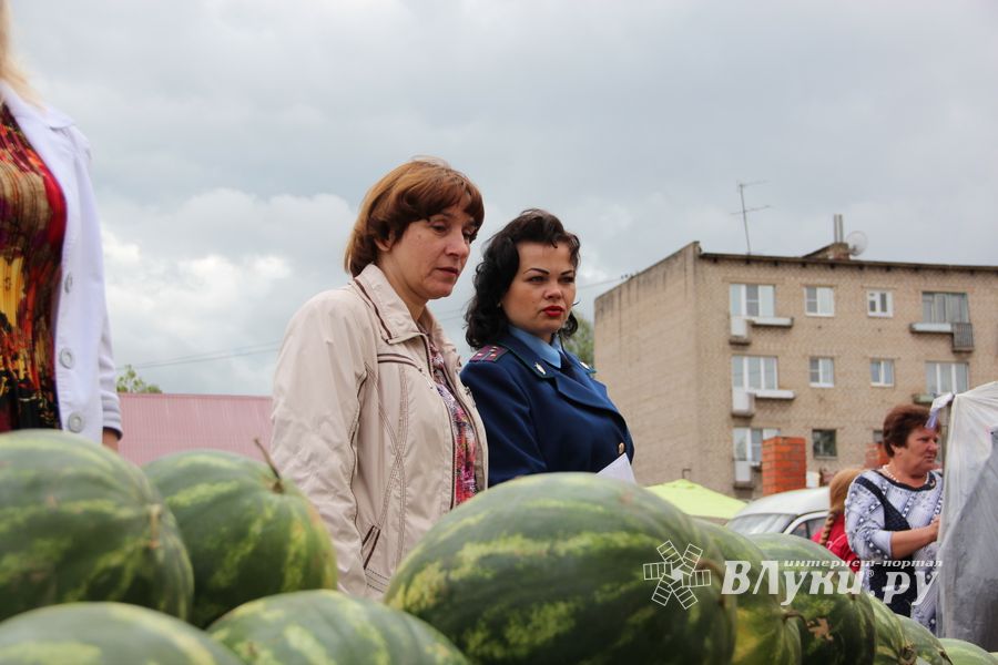 В Великих Луках проверили бахчевые (ФОТО)