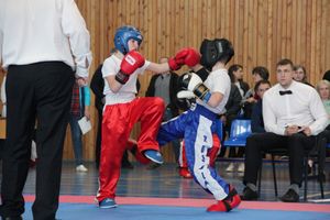 В Великих Луках проходит Кубок по кикбоксингу (ФОТО) (0+)