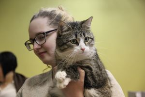 В Великих Луках прошла выставка кошек (фото)