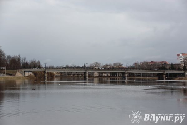 Тело пропавшего великолучанина найдено в Ловати