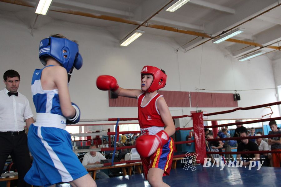 В Великих Луках прошло Первенство города по боксу (ФОТО)