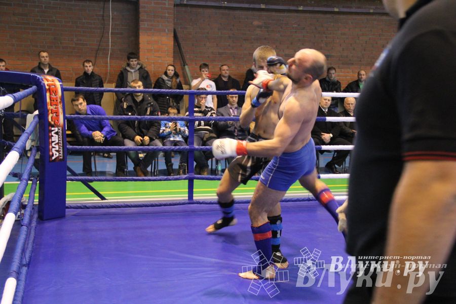 В Великих Луках прошел межрегиональный Открытый Кубок по смешанному боевому единоборству (фото)