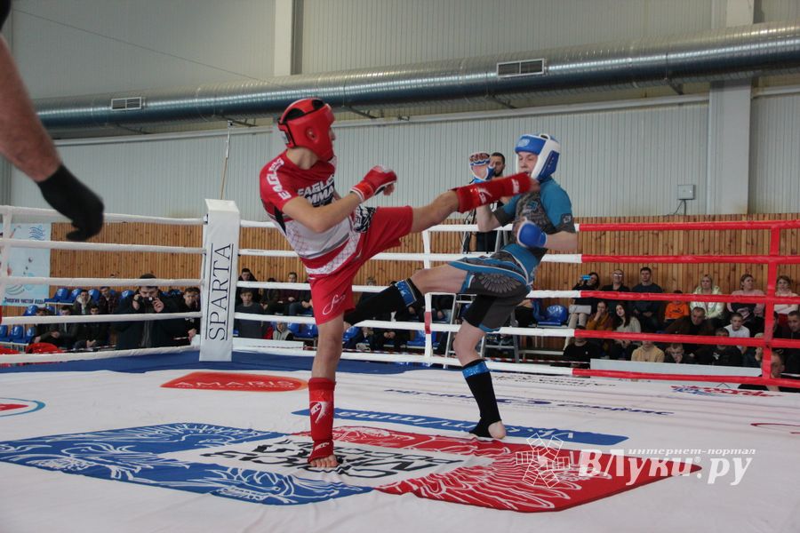 Открытый кубок по смешанному боевому единоборству ММА прошел в Великих Луках (ФОТО)