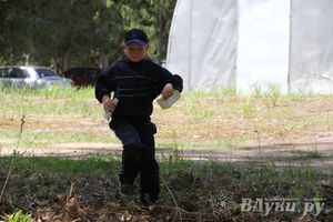В Великолукском районе прошли массовые соревнований по спортивному ориентированию (фото)