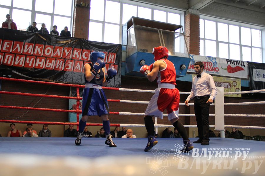 16-й Международный турнир по боксу (фото)