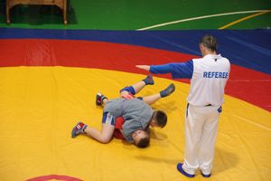 В Великих Луках проходит турнир самбистов (ФОТО)