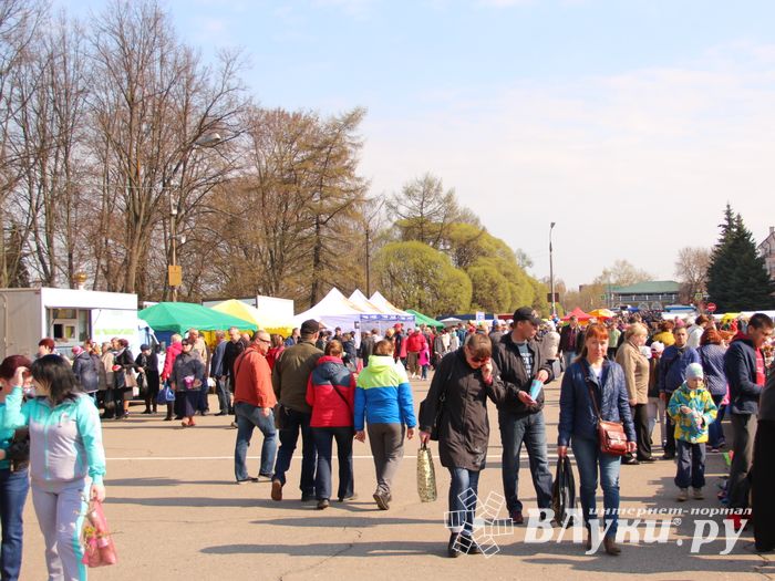 СТЦ «СтройСам» порадовал великолучан на универсальной ярмарке «Весна-2018» (ФОТО)
