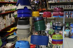 «Zooбастики»: подарите праздник своим любимцам! (ФОТО+ВИДЕО)