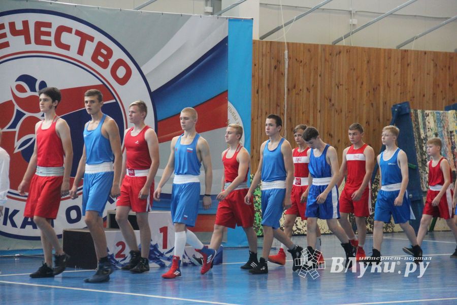 1-й Фестиваль боевых искусств состоялся в Великих Луках  (ФОТО)