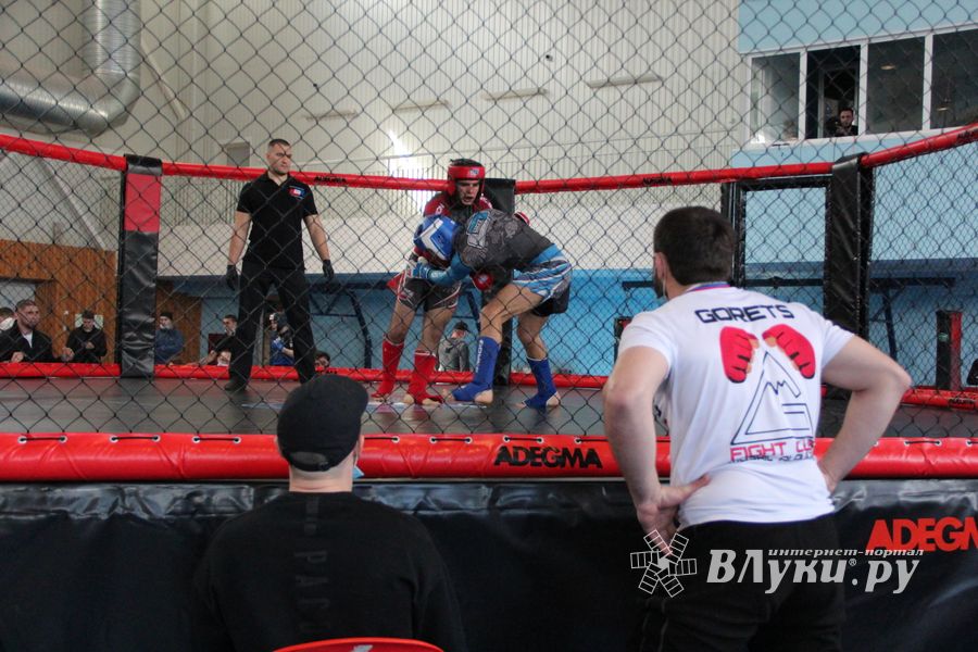В Великих Луках прошло Первенство России по смешанному боевому единоборству (ФОТО)