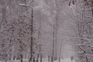 В Великих Луках снегопад и «день жестянщика» (фото)