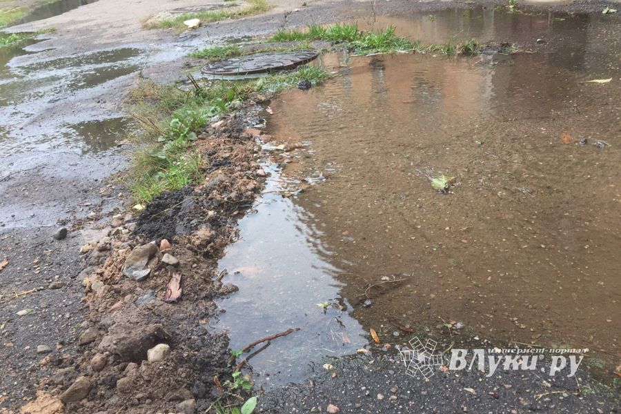 В Великих Луках забил «гейзер», по словам коммунальщиков, «рядовая ситуация» (ФОТО+ЗВУК)