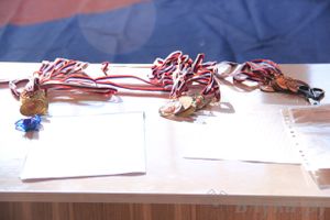 состоялось Открытое первенство города Великие Луки по борьбе самбо