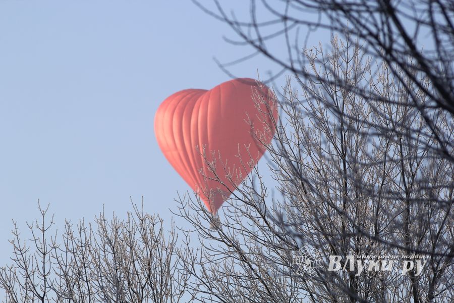Над Великими Луками взлетели «Яблоки на снегу»