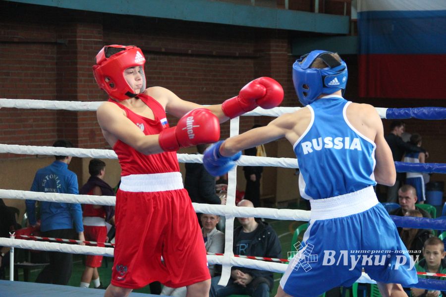 В Великих Луках прошел турнир по боксу памяти Е. Клевцова (ФОТО)