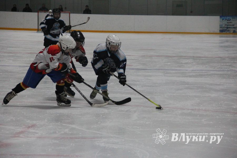 Товарищескике хоккейные игры между детскими командами прошли в Великих Луках (ФОТО)