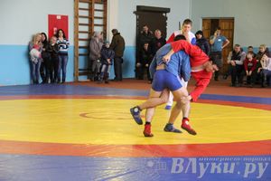 Всероссийский турнир по самбо