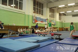 В Великих Луках состоялось Первенство по командной гимнастике (фото)