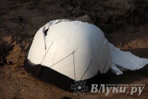 ДТП на перекрестке улиц Малышева и М. Кузьмина (фото)