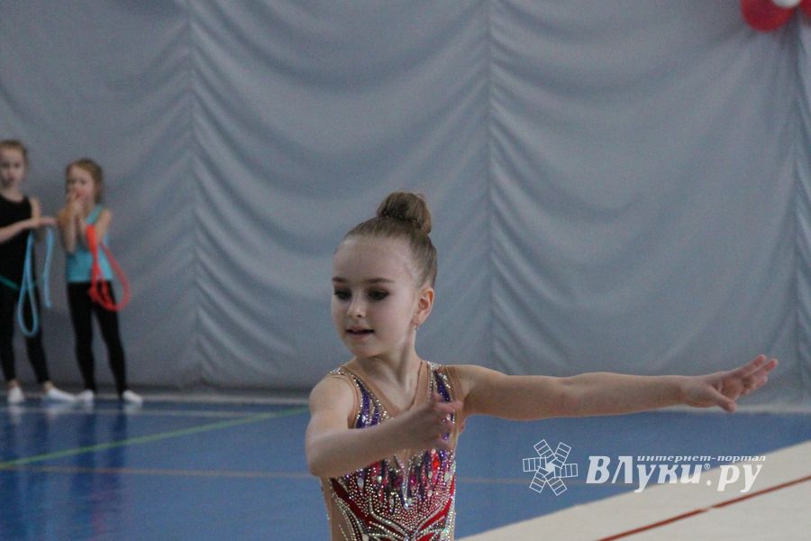 ​В Великих Луках проходят соревнования по художественной гимнастике (ФОТО) (6+)