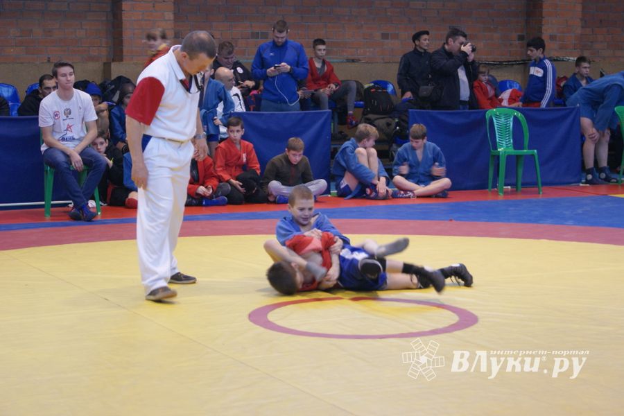 Великолучане завоевали призовые места на турнире по самбо «Память» (ФОТО)