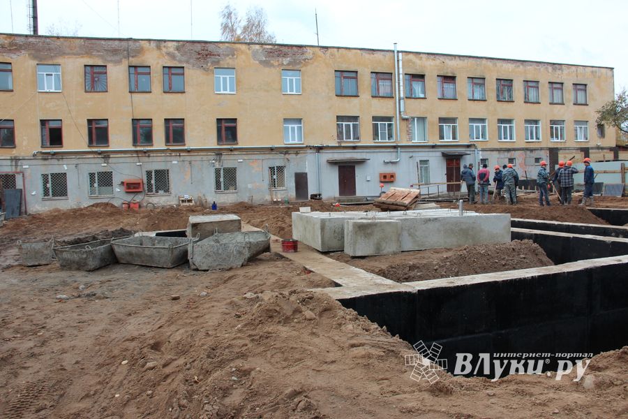 В скором времени нерадивых великолучан станет проще изолировать (ФОТО)