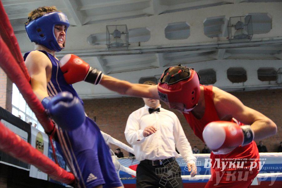 16-й Международный турнир по боксу (фото)
