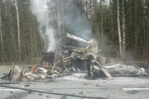 В Стругокрасненском районе произошло ДТП с возгоранием автомобилей (фото)