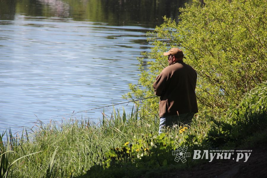 В Великих Луках состоялся Чемпионат города по ловле рыбы спиннингом (ФОТО)
