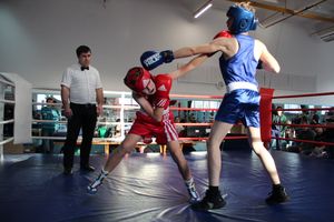 В Великих Луках завершились соревнования по боксу (ФОТО)
