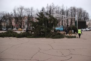 Необычное украшение сняли с главной ёлки Великих Лук (ФОТО)