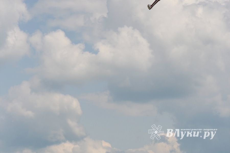 IV Фестиваль авиамодельного спорта России в классе радиоуправляемых моделей