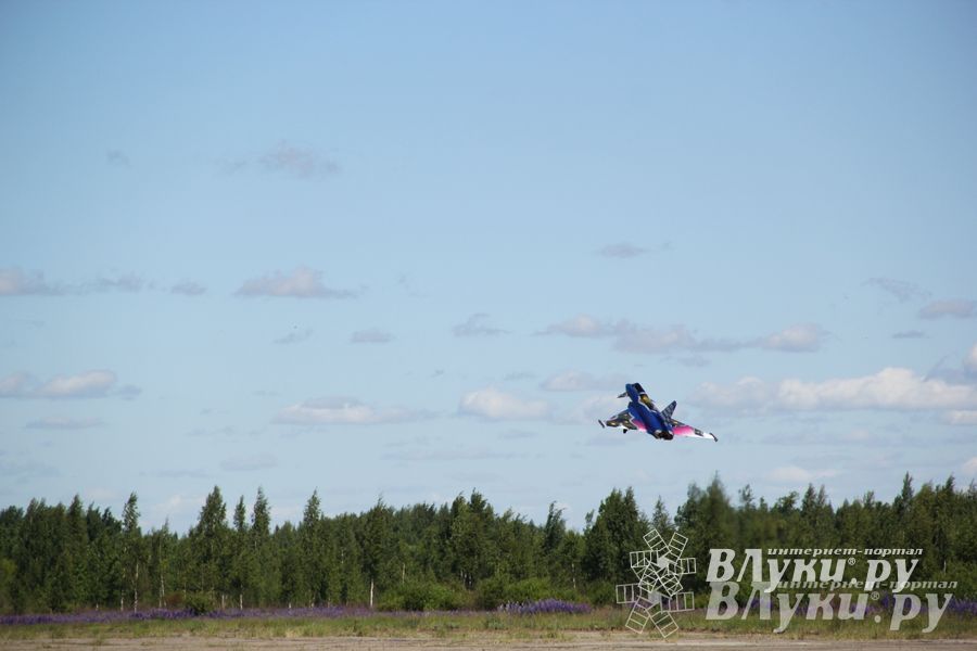 В Великих Луках прошел Фестиваль авиамодельного спорта (фото)