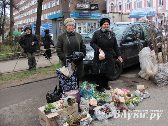 В Великих Луках проходит Весенняя ярмарка