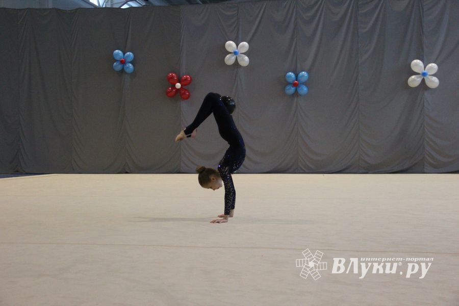 В Великих Луках прошли соревнования на Кубок Псковской области по художественной гимнастике (ФОТО)