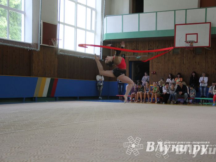 В Великих Луках прошло Первенство по художественной гимнастике (фото)