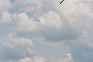 IV Фестиваль авиамодельного спорта России в классе радиоуправляемых моделей