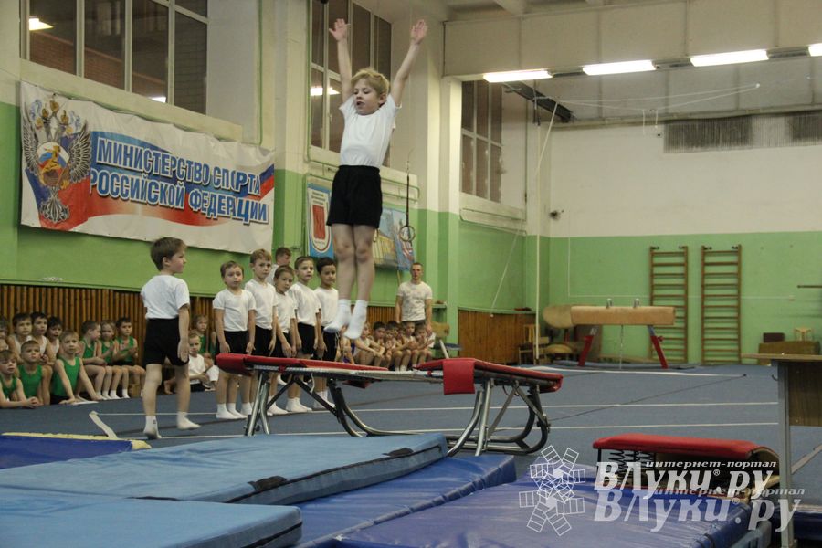 В Великих Луках состоялось Первенство по командной гимнастике (фото)