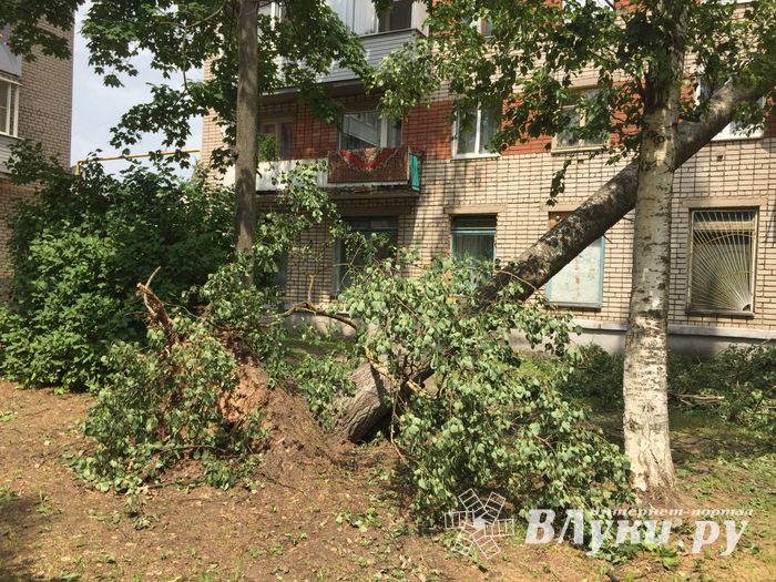 Небезразличные великолучане помогают убрать город после урагана (ФОТО)