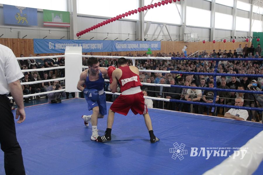 Матчевая встреча по боксу Великие Луки —Псков — Грозный (ФОТО)