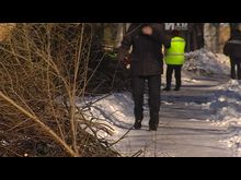 Импульс-ТВ: Обрезка деревьев