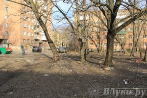 Город в ожидании субботника