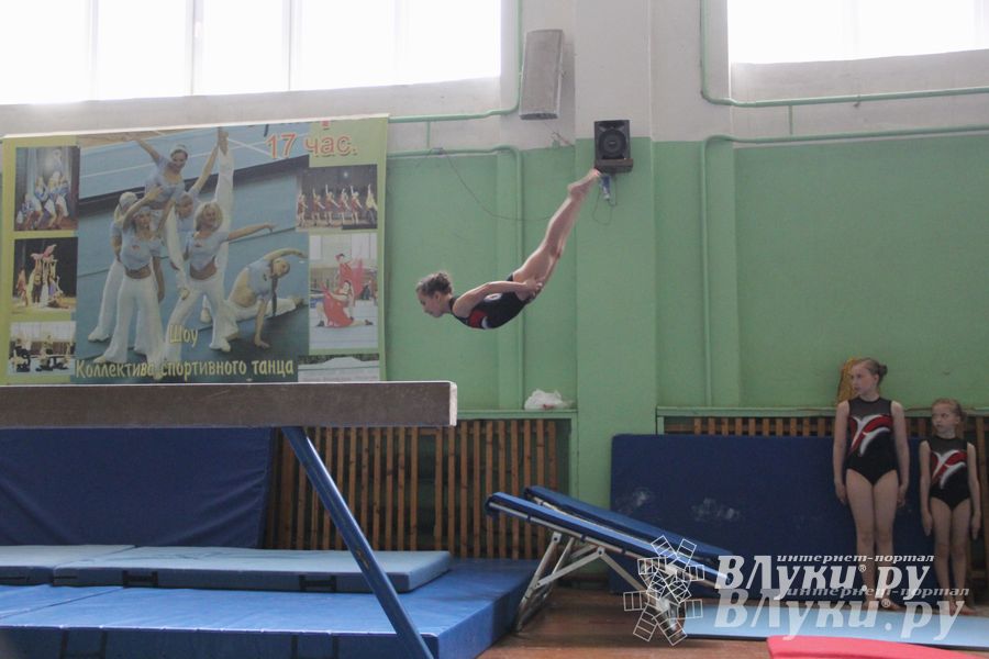 В Великих Луках состоялось Первенство по командной гимнастике (фото)