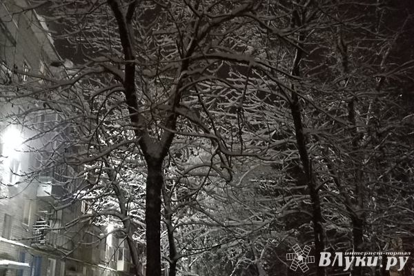 Сегодня в Великих Луках будет пасмурно и снежно