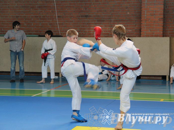 Турнир по каратэ «Неприкосновенный запас — дети Отчизны»